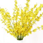 Spruce up an Easter basket with yellow orchids