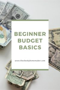 Beginner budget basics teach you how to make a budget